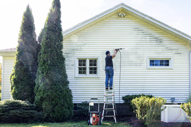 Best Gutter Cleaning  in Mansura, LA